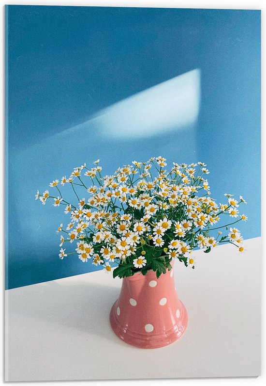 Acrylglas - Boeket van Madeliefjes in Roze Vaasje met Witte Stippen - 40x60 cm Foto op Acrylglas (Met Ophangsysteem)