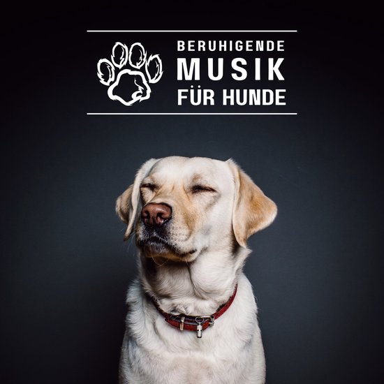 Beruhigende Musik für Hunde - cover
