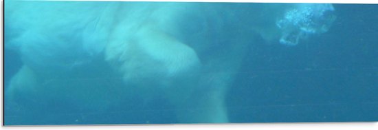 WallClassics - Dibond - Zwemmende IJsbeer in het Water - 90x30 cm Foto op Aluminium (Wanddecoratie van metaal)