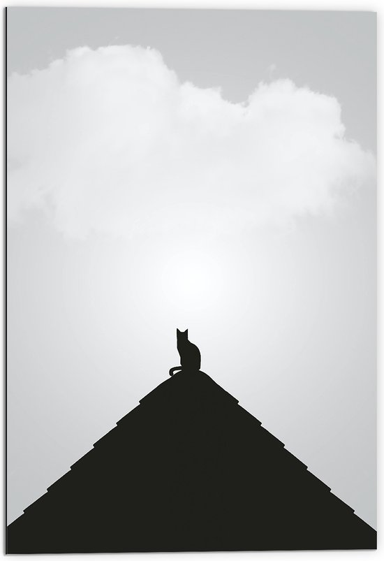 WallClassics - Dibond - Kat op Piramide - 70x105 cm Foto op Aluminium (Met Ophangsysteem)