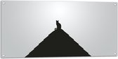 WallClassics - Tuinposter – Kat op Piramide - 100x50 cm Foto op Tuinposter  (wanddecoratie voor buiten en binnen)