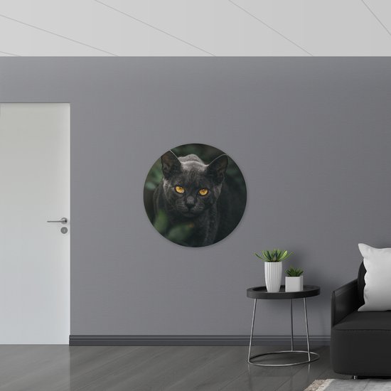 WallClassics - Muursticker Cirkel - Burmese Kat - 90x90 cm Foto op Muursticker