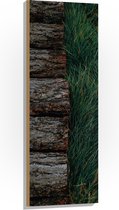 WallClassics - Hout - Houten Pad langs Grasveld - 40x120 cm - 12 mm dik - Foto op Hout (Met Ophangsysteem)