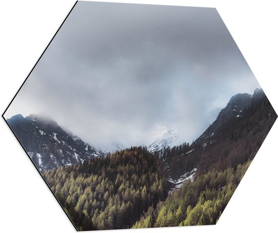 WallClassics - Dibond Hexagon - Wolken bij Bergen en Bos - 80x69.6 cm Foto op Hexagon (Met Ophangsysteem)