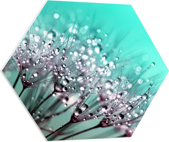WallClassics - PVC Schuimplaat Hexagon  - Close up van Waterdruppels op Paardenbloem - 70x60.9 cm Foto op Hexagon (Met Ophangsysteem)