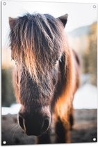 WallClassics - Tuinposter – Slapende Shetlander - 70x105 cm Foto op Tuinposter  (wanddecoratie voor buiten en binnen)