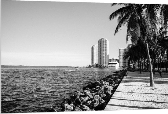 Dibond - Palmbomen op het Strand met Uitzicht op Hoge Gebouwen Zwart/Wit - 120x80 cm Foto op Aluminium (Wanddecoratie van metaal)