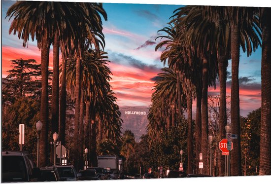 Dibond - Los Angeles Hollywood met Palmbomen - 120x80 cm Foto op Aluminium (Wanddecoratie van metaal)