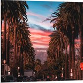 PVC Schuimplaat - Los Angeles Hollywood met Palmbomen - 80x80 cm Foto op PVC Schuimplaat (Met Ophangsysteem)