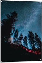 WallClassics - Tuinposter – Onderaanzicht van Hoge Donkere Bomen onder Heldere Sterrenhemel - 80x120 cm Foto op Tuinposter (wanddecoratie voor buiten en binnen)