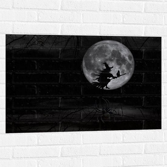 Muursticker - Vliegende Heks op Bezemsteelbij Volle Maan - 90x60 cm Foto op Muursticker