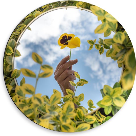WallClassics - Dibond Muurcirkel - Het Spiegelbeeld van een Gele Bloem - 50x50 cm Foto op Aluminium Muurcirkel (met ophangsysteem)