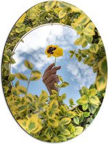 WallClassics - Dibond Ovaal - Het Spiegelbeeld van een Gele Bloem - 51x68 cm Foto op Ovaal (Met Ophangsysteem)