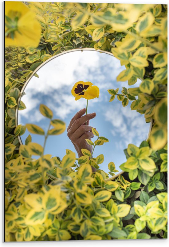 WallClassics - Dibond - Het Spiegelbeeld van een Gele Bloem - 40x60 cm Foto op Aluminium (Met Ophangsysteem)