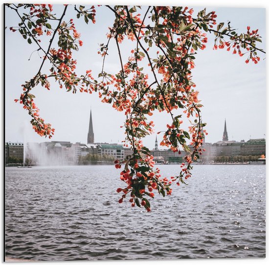 Dibond - Roze Bloementjes bij het Water - 50x50 cm Foto op Aluminium (Met Ophangsysteem)