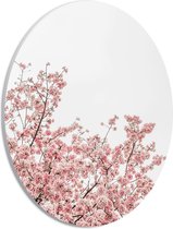 PVC Schuimplaat Ovaal - Roze Sakura - 21x28 cm Foto op Ovaal (Met Ophangsysteem)