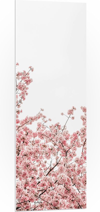 PVC Schuimplaat- Roze Sakura - 40x120 cm Foto op PVC Schuimplaat