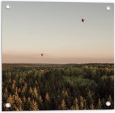 Tuinposter – Luchtballonnen boven de Bossen - 50x50 cm Foto op Tuinposter (wanddecoratie voor buiten en binnen)