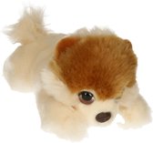 Keel Toys - Pomeranian - honden knuffel - lichtbruin/beige - pluche - 25 cm