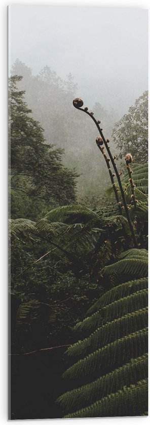 Acrylglas - Groene Tropische Planten bij Mistige Lucht - 30x90 cm Foto op Acrylglas (Met Ophangsysteem)
