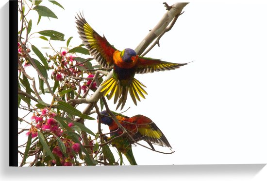 Canvas - Tropische Vogels op Roze Bloementak - 60x40 cm Foto op Canvas Schilderij (Wanddecoratie op Canvas)