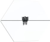 PVC Schuimplaat Hexagon - Drie Vogeltjes op een Rij - 80x69.6 cm Foto op Hexagon (Met Ophangsysteem)