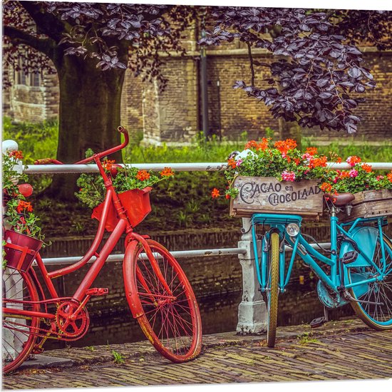 WallClassics - Acrylglas - Rode en blauwe Fiets met Bloemen bij wit Hek voor de Gracht - 80x80 cm Foto op Acrylglas (Met Ophangsysteem)