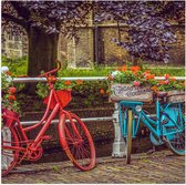 WallClassics - Poster (Mat) - Rode en blauwe Fiets met Bloemen bij wit Hek voor de Gracht - 50x50 cm Foto op Posterpapier met een Matte look