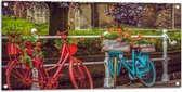 WallClassics - Tuinposter – Rode en blauwe Fiets met Bloemen bij wit Hek voor de Gracht - 100x50 cm Foto op Tuinposter (wanddecoratie voor buiten en binnen)