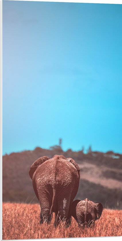 WallClassics - PVC Schuimplaat - Moeder en Baby Olifant tussen het Hoge Gras - 50x100 cm Foto op PVC Schuimplaat (Met Ophangsysteem)