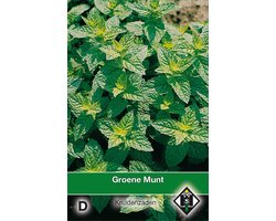 2 stuks Groene Munt MenthaVan Hemert & Co