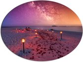 Dibond Ovaal - Romantisch Tafereel op Strand tijdens de Avond - 68x51 cm Foto op Ovaal (Met Ophangsysteem)