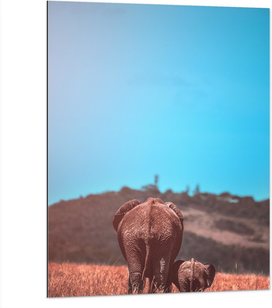 WallClassics - Dibond - Moeder en Baby Olifant tussen het Hoge Gras - 75x100 cm Foto op Aluminium (Met Ophangsysteem)