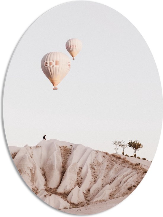 WallClassics - PVC Schuimplaat Ovaal - Luchtballonnen boven Bergen - 51x68 cm Foto op Ovaal (Met Ophangsysteem)