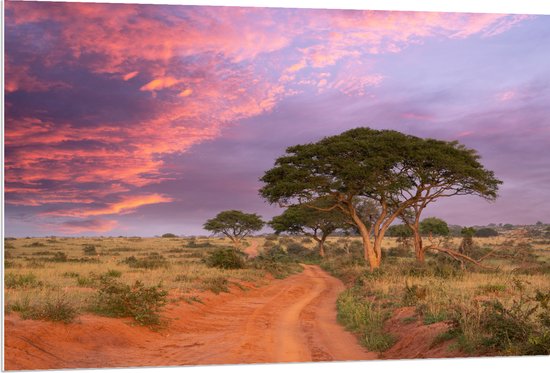 PVC Schuimplaat - Roze Lucht boven Vlak Landschap met Enkele Bomen - 120x80 cm Foto op PVC Schuimplaat (Met Ophangsysteem)