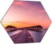 Dibond Hexagon - Vlonder naar Luxe Resorts op de Maledieven - 70x60.9 cm Foto op Hexagon (Met Ophangsysteem)