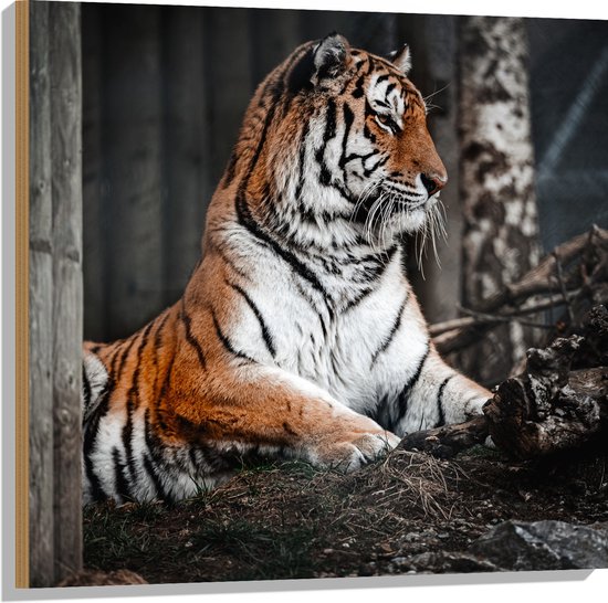 WallClassics - Hout - Tijger zittend op de Grond in Bos - 80x80 cm - 9 mm dik - Foto op Hout (Met Ophangsysteem)