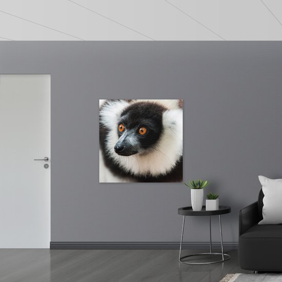 WallClassics - Plaque de Mousse PVC - Singe Vari aux Yeux Marrons de Près - 100x100 cm Photo sur Plaque de Mousse PVC