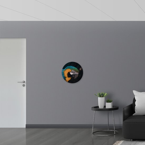 WallClassics - PVC Schuimplaat Muurcirkel - Blauw met Gele Vogel - Ara - 50x50 cm Foto op Muurcirkel (met ophangsysteem)