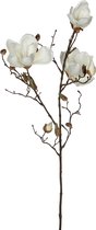 Mica Decorations Magnolia Kunstbloem - H88 cm - Wit