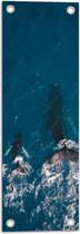 WallClassics - Tuinposter – Bovenaanzicht van Baby Walvis met Moeder - 20x60 cm Foto op Tuinposter (wanddecoratie voor buiten en binnen)