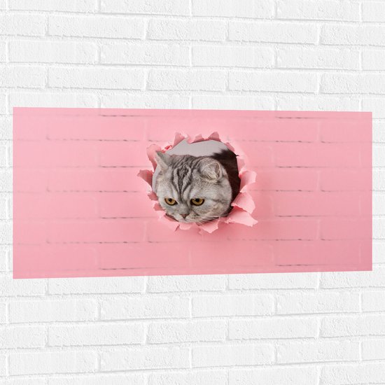 Muursticker - Schotse Kat tussen het Roze Papier - 100x50 cm Foto op Muursticker