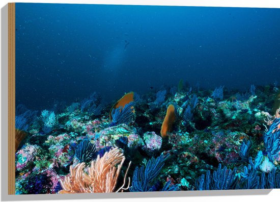WallClassics - Hout - Koraal onder Water - 75x50 cm - 9 mm dik - Foto op Hout (Met Ophangsysteem)