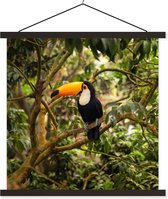 Posterhanger incl. Poster - Schoolplaat - Vogel - Toekan - Jungle - Natuur - Tropisch - 90x90 cm - Zwarte latten