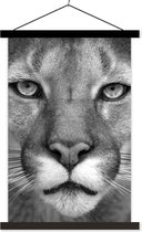 Porte-affiche avec affiche - Affiche scolaire - Panthère - Animaux sauvages - Zwart - Wit - 40x60 cm - Lattes noires