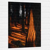 WallClassics - Muursticker - Oranje Zonlicht in het Bos - 80x120 cm Foto op Muursticker