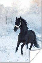 Poster Paard - Sneeuw - Bos - 20x30 cm