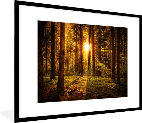 Poster - Fotolijst - Zon - Bos - Groen - Natuur - 80x60 cm - Poster kader - Kamer decoratie - Poster bos - Foto in lijst - Poster natuur - Poster met frame