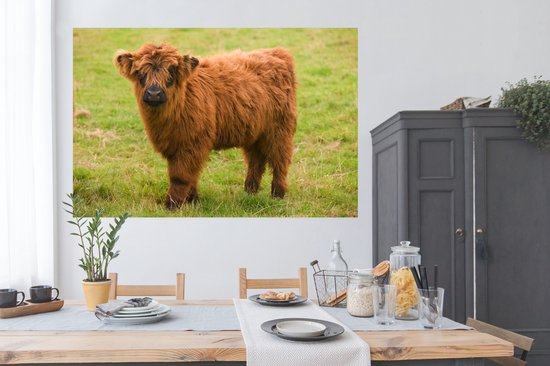 Poster Portrait of a Scottish Highland Calf 180x120 cm - Tirage photo sur Poster (décoration murale salon / chambre) / Poster Animaux sauvages XXL / Groot format!