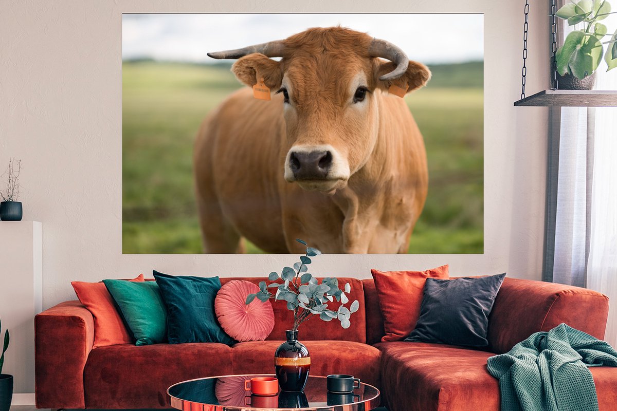 Koeien Wanddecoratie - Gratis Verzending & Op Maat | Werk aan de Muur